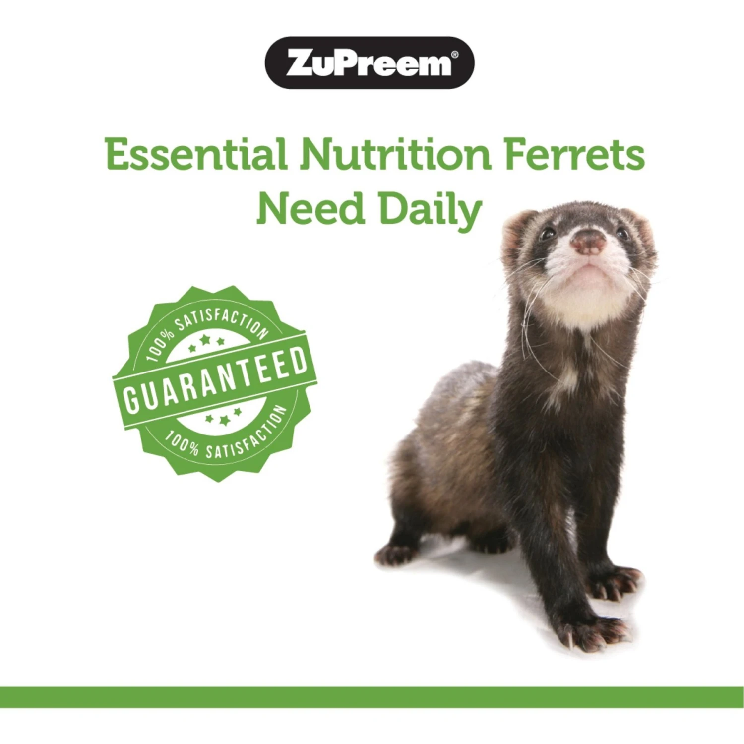 ZuPreem Grain-Free Diet Daily Ferret Food, 4-lb Bag 5 ZuPreem Grain-Free Diet Daily Ferret Food, 4-lb Bag - Image 5
