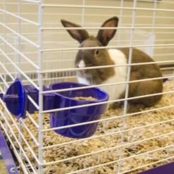 Ware Slide-N-Lock Small Animal Bowl -MiniMates Shop 101104 PT2. AC SS1800 V1659996540