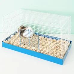 Ware Chew Proof Small Animal Cage -MiniMates Shop 101118 PT8. AC SS1800 V1518538113