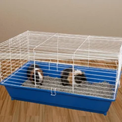 Ware Home Sweet Home Plastic Small Animal Cage, Color Varies 11 Ware Home Sweet Home Plastic Small Animal Cage, Color Varies -MiniMates Shop 101129 PT3. AC SS1800 V1668026981