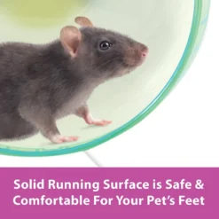 Kaytee Silent Spinner Small Animal Exercise Wheel -MiniMates Shop 101441 PT5. AC SS1800 V1629843739