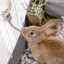 Kaytee Chew-Proof Small Animal Water Bottle -MiniMates Shop 101445 PT3. AC SS1800 V1693506128