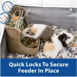 Kaytee Hay-N-Food Bin With Quick Locks Small Animal Feeder, Color Varies -MiniMates Shop 101479 PT5. AC SS1800 V1667949332
