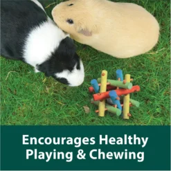 Kaytee Nut Knot Nibbler Small Animal Chew Toy -MiniMates Shop 101513 PT2. AC SS1800 V1683565360