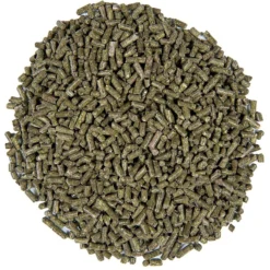 Small Pet Select Timothy Based Guinea Pig Food 6 Small Pet Select Timothy Based Guinea Pig Food -MiniMates Shop 101862 PT2. AC SS1800 V1612400478