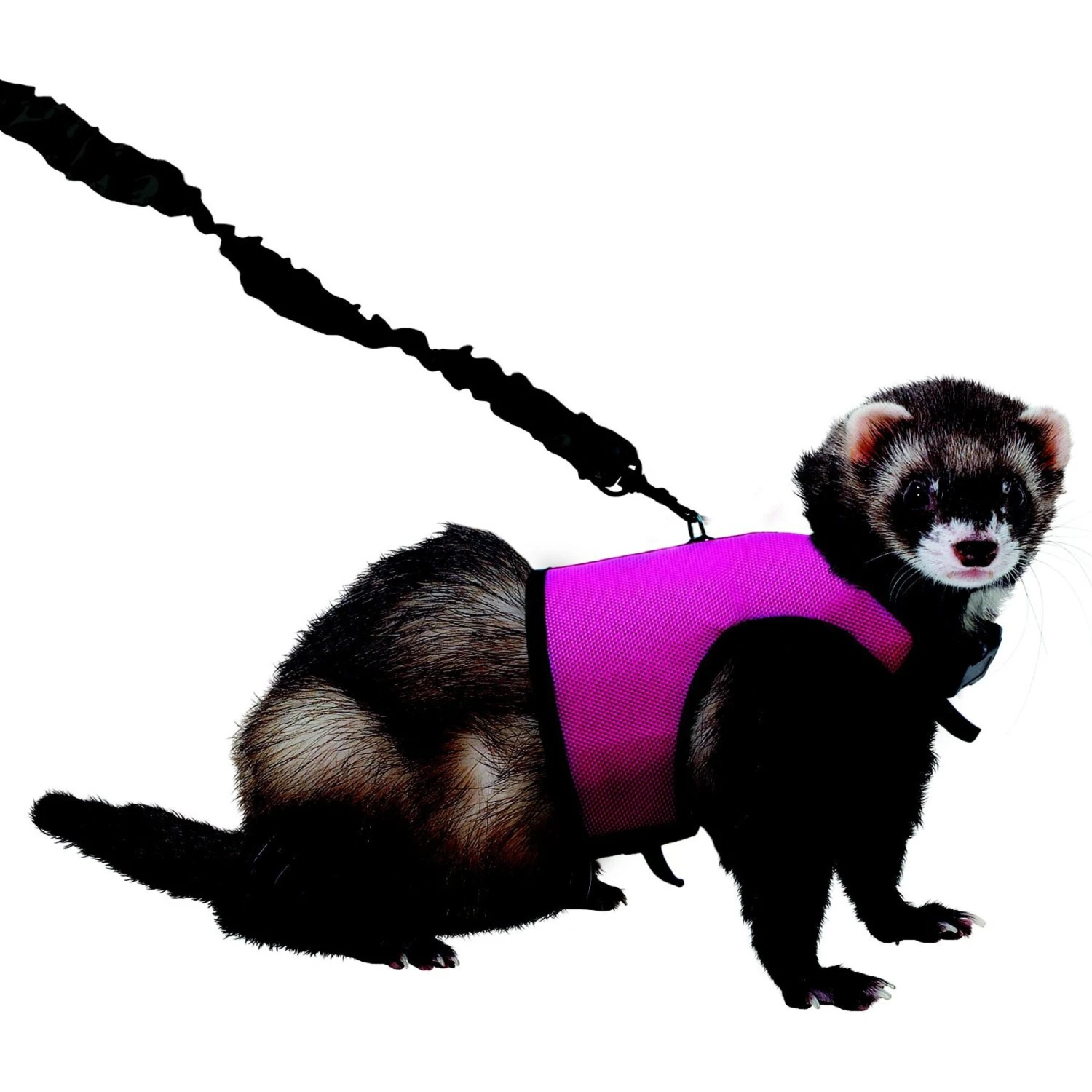 Kaytee Small Animal Harness & Stretchy Leash 4 Kaytee Small Animal Harness & Stretchy Leash - Image 4