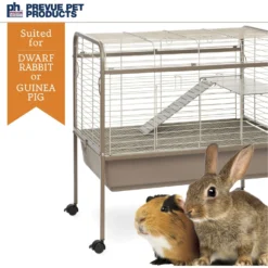 Prevue Pet Products Small Animal Cage -MiniMates Shop 106105 PT4. AC SS1800 V1685730899
