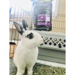 Rabbit Hole Hay Ultra Premium, Hand Packed Coarse Timothy Hay Small Animal Food 9 Rabbit Hole Hay Ultra Premium, Hand Packed Coarse Timothy Hay Small Animal Food -MiniMates Shop 113195 PT4. AC SS1800 V1682515724