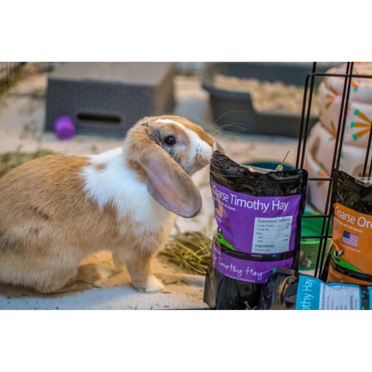 Rabbit Hole Hay Ultra Premium, Hand Packed Coarse Timothy Hay Small Animal Food 5 Rabbit Hole Hay Ultra Premium, Hand Packed Coarse Timothy Hay Small Animal Food - Image 5