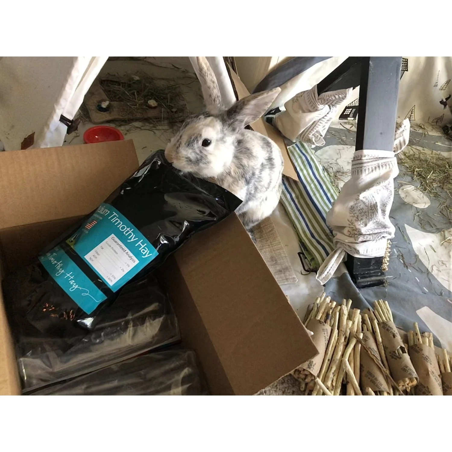 Rabbit Hole Hay Ultra Premium, Hand Packed Medium Timothy Hay Small Animal Food 4 Rabbit Hole Hay Ultra Premium, Hand Packed Medium Timothy Hay Small Animal Food - Image 4