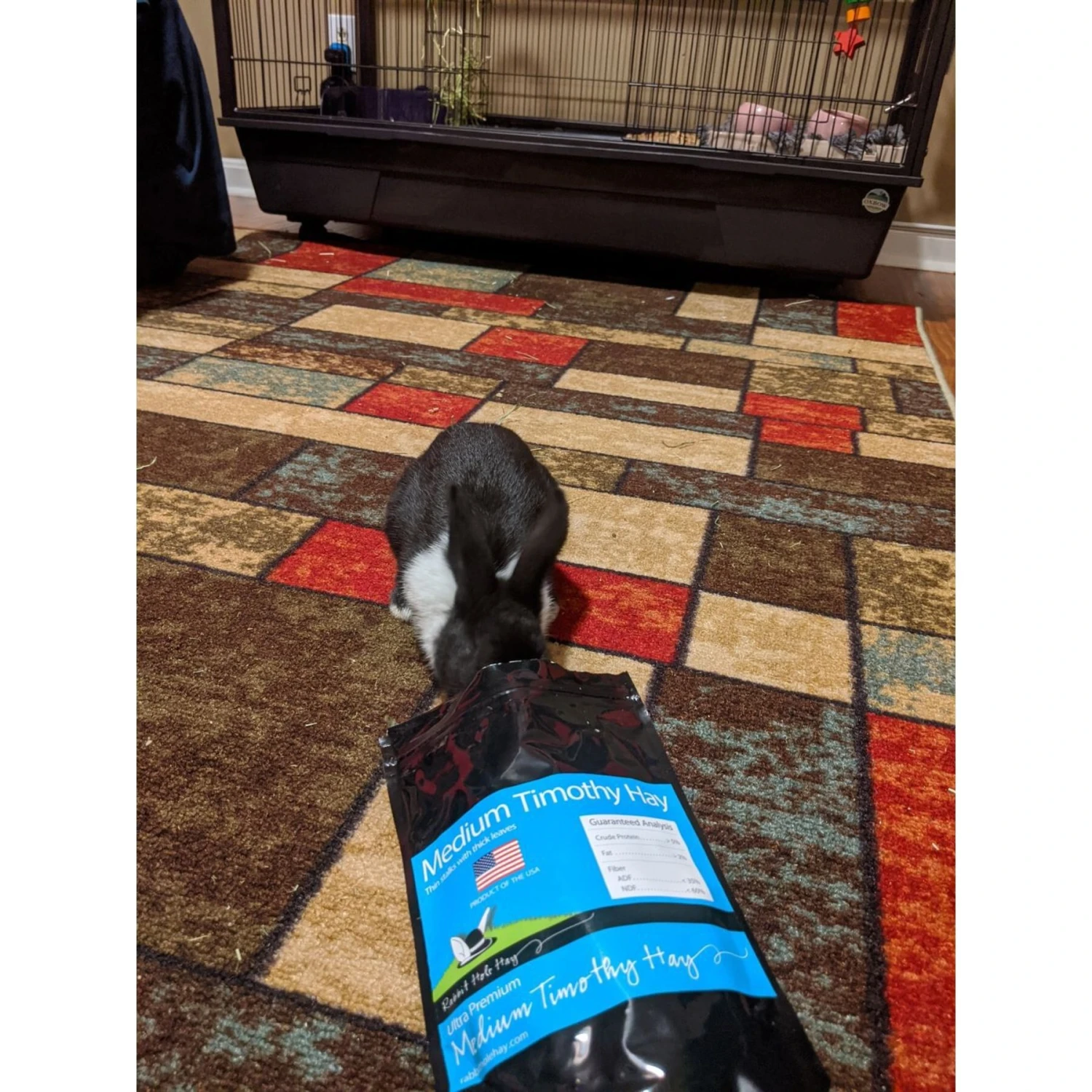 Rabbit Hole Hay Ultra Premium, Hand Packed Medium Timothy Hay Small Animal Food 5 Rabbit Hole Hay Ultra Premium, Hand Packed Medium Timothy Hay Small Animal Food - Image 5