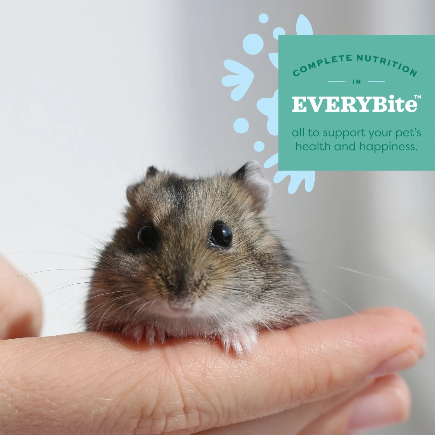 Oxbow Garden Select Gerbil & Hamster Food 8 Oxbow Garden Select Gerbil & Hamster Food - Image 8