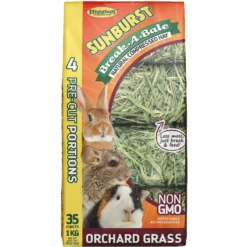 Higgins Sunburst Break-A-Bale Orchard Grass Small Animal Food