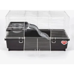 Kaytee My First Home Rat Habitat 8 Kaytee My First Home Rat Habitat -MiniMates Shop 139781 PT4. AC SS1800 V1667863232
