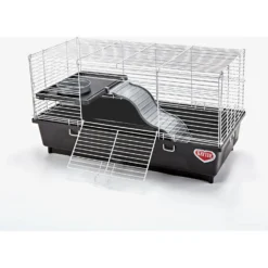Kaytee My First Home Rat Habitat 9 Kaytee My First Home Rat Habitat -MiniMates Shop 139781 PT5. AC SS1800 V1667863056