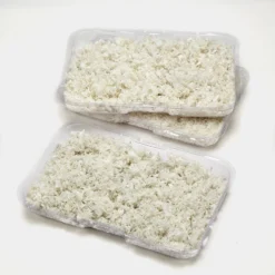 Kaytee CritterTrail Small Animal Bedding Tray -MiniMates Shop 139798 pt3. AC SS1800 V1577496143