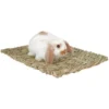 Peter's Woven Grass Small Animal Mat
