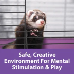 Kaytee 2x2 Multi-Level Habitat With Removable Casters Small Animal Habitat 13 Kaytee 2x2 Multi-Level Habitat With Removable Casters Small Animal Habitat -MiniMates Shop 154609 PT5. AC SS1800 V1600211792