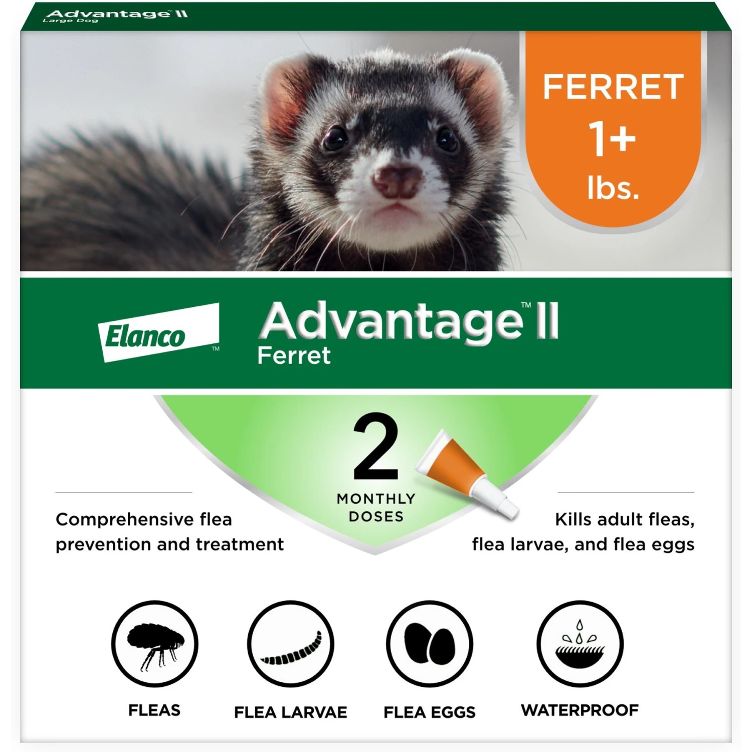 Advantage II Flea Treatment For Ferrets 1 Advantage II Flea Treatment For Ferrets