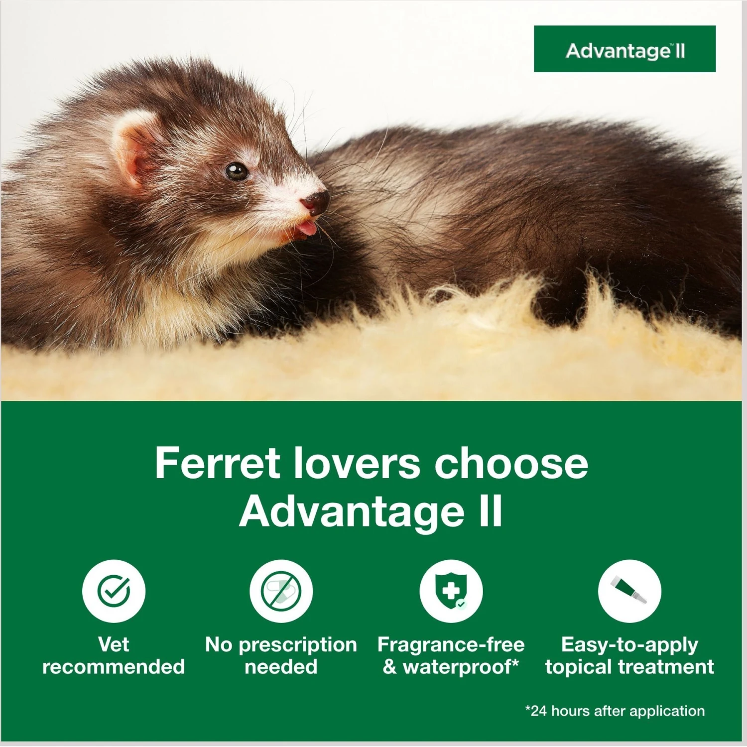 Advantage II Flea Treatment For Ferrets 2 Advantage II Flea Treatment For Ferrets - Image 2