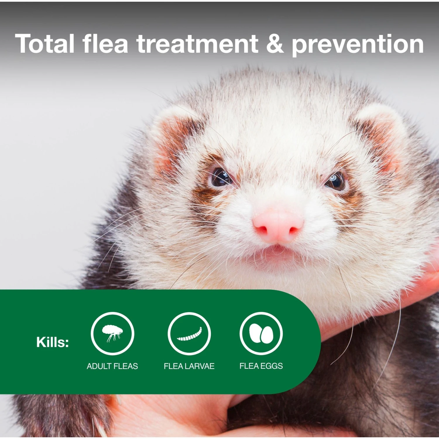 Advantage II Flea Treatment For Ferrets 3 Advantage II Flea Treatment For Ferrets - Image 3