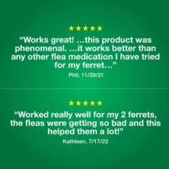 Advantage II Flea Treatment For Ferrets 14 Advantage II Flea Treatment For Ferrets -MiniMates Shop 155609 PT6. AC SS1800 V1681328495