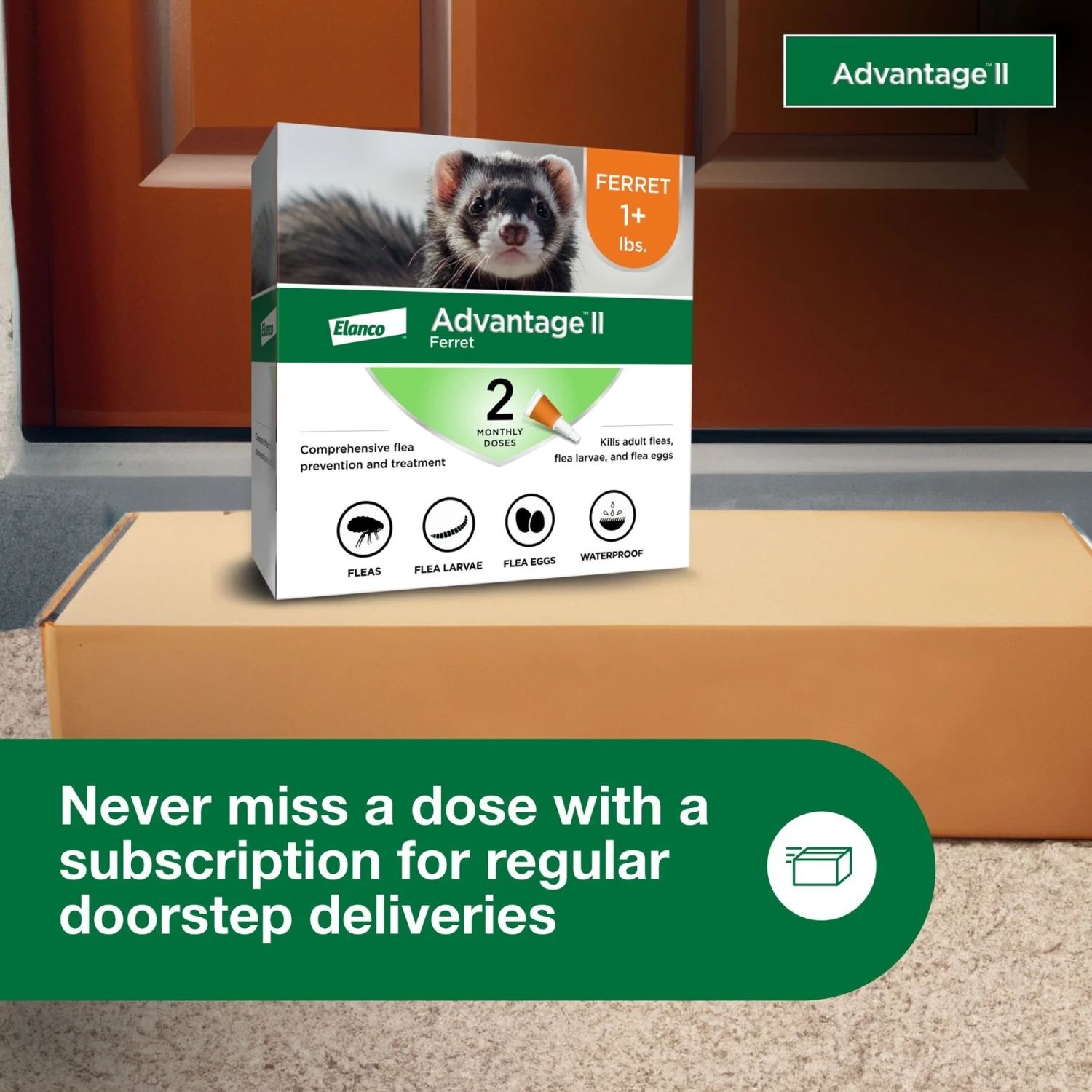 Advantage II Flea Treatment For Ferrets 8 Advantage II Flea Treatment For Ferrets - Image 8