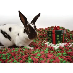 Carefresh Holiday Small Animal Bedding 9 Carefresh Holiday Small Animal Bedding -MiniMates Shop 156777 PT3. AC SS1800 V1544653025