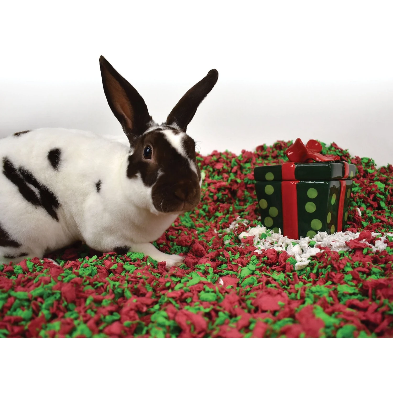 Carefresh Holiday Small Animal Bedding 4 Carefresh Holiday Small Animal Bedding - Image 4