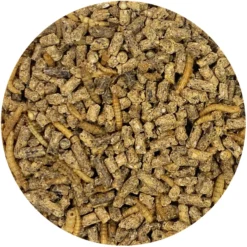 Exotic Nutrition Hedgehog Complete Hedgehog Food 9 Exotic Nutrition Hedgehog Complete Hedgehog Food -MiniMates Shop 158280 PT2. AC SS1800 V1620079335