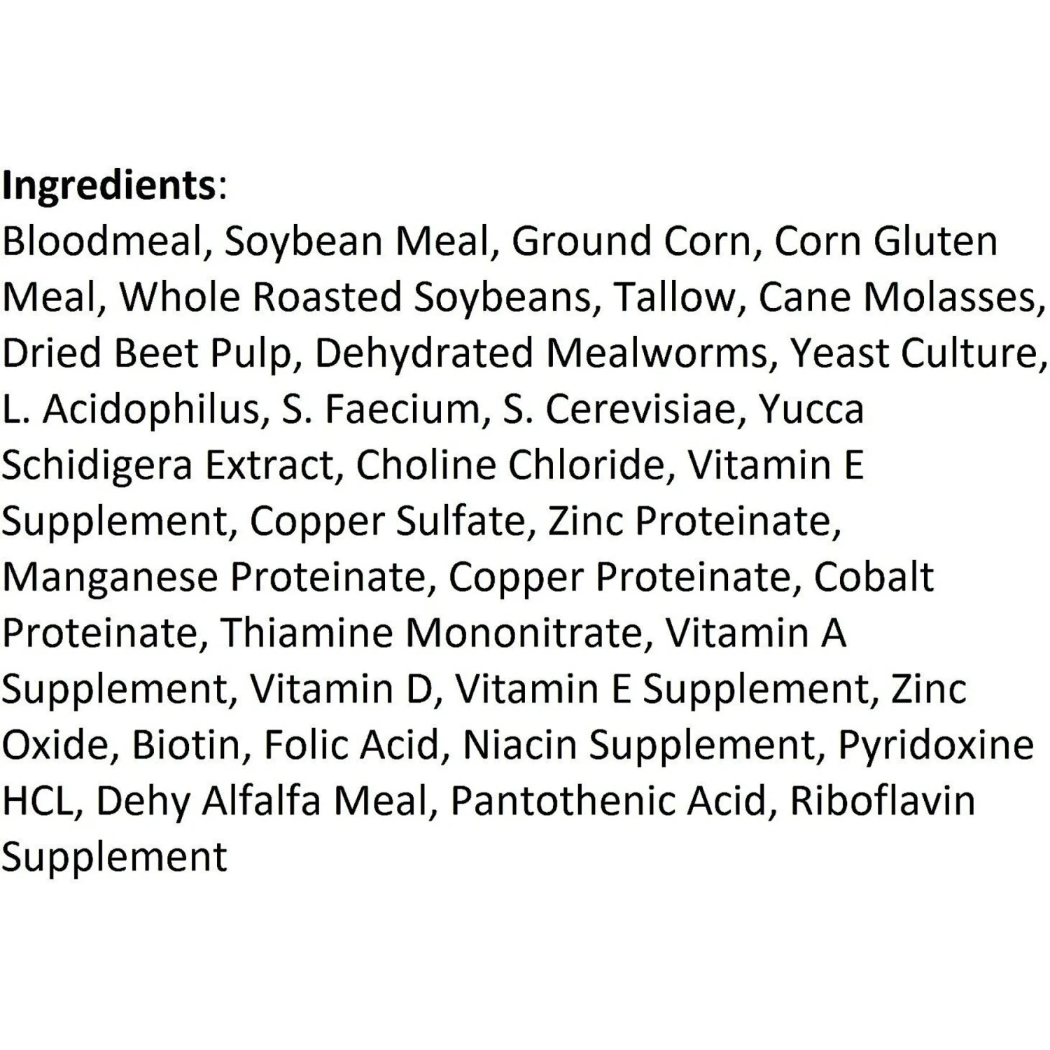 Exotic Nutrition Hedgehog Complete Hedgehog Food 4 Exotic Nutrition Hedgehog Complete Hedgehog Food - Image 4