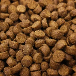 Higgins InTune Complete & Balanced Diet Grain-Free Ferret Food -MiniMates Shop 160448 PT2. AC SS1800 V1600387898