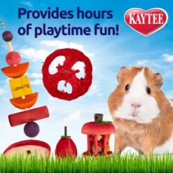 Kaytee Chew & Treat Toy Guinea Pig Assortment -MiniMates Shop 162307 PT2. AC SS1800 V1584563863
