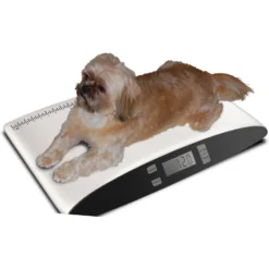 Redmon Precision Digital Small Pet Scale -MiniMates Shop 178418 PT2. AC SS1800 V1563290886