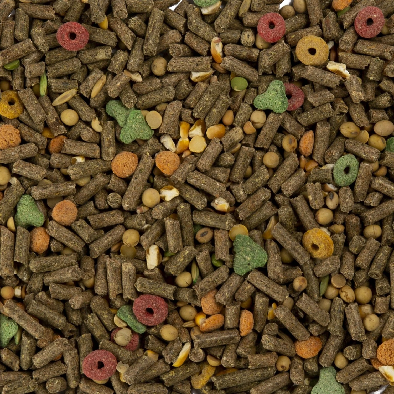 ECOTRITION Essential Blend Guinea Pig Food 3 ECOTRITION Essential Blend Guinea Pig Food - Image 3