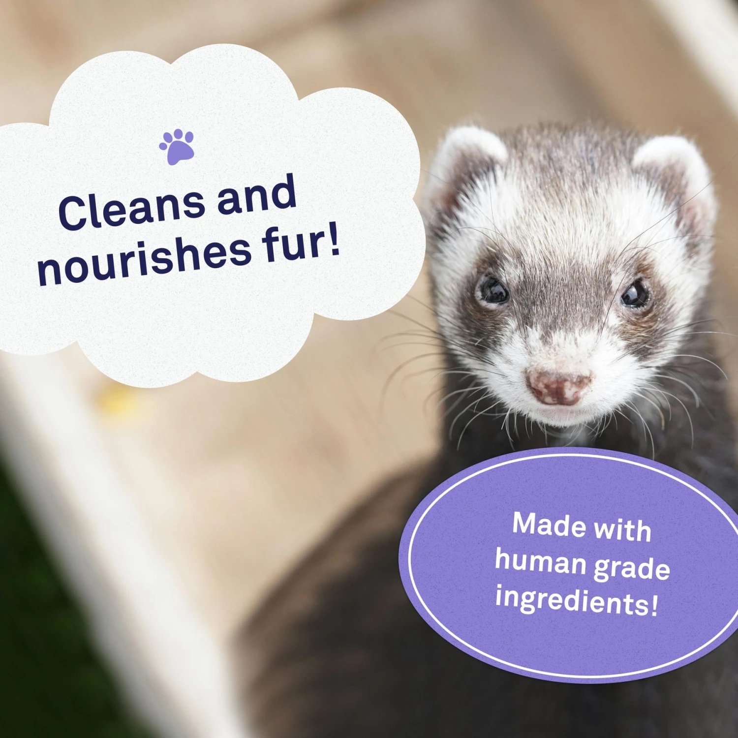 Petpost Ferret Shampoo 3 Petpost Ferret Shampoo - Image 3