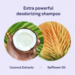 Petpost Ferret Shampoo 7 Petpost Ferret Shampoo -MiniMates Shop 181140 PT3. AC SS1800 V1564597351