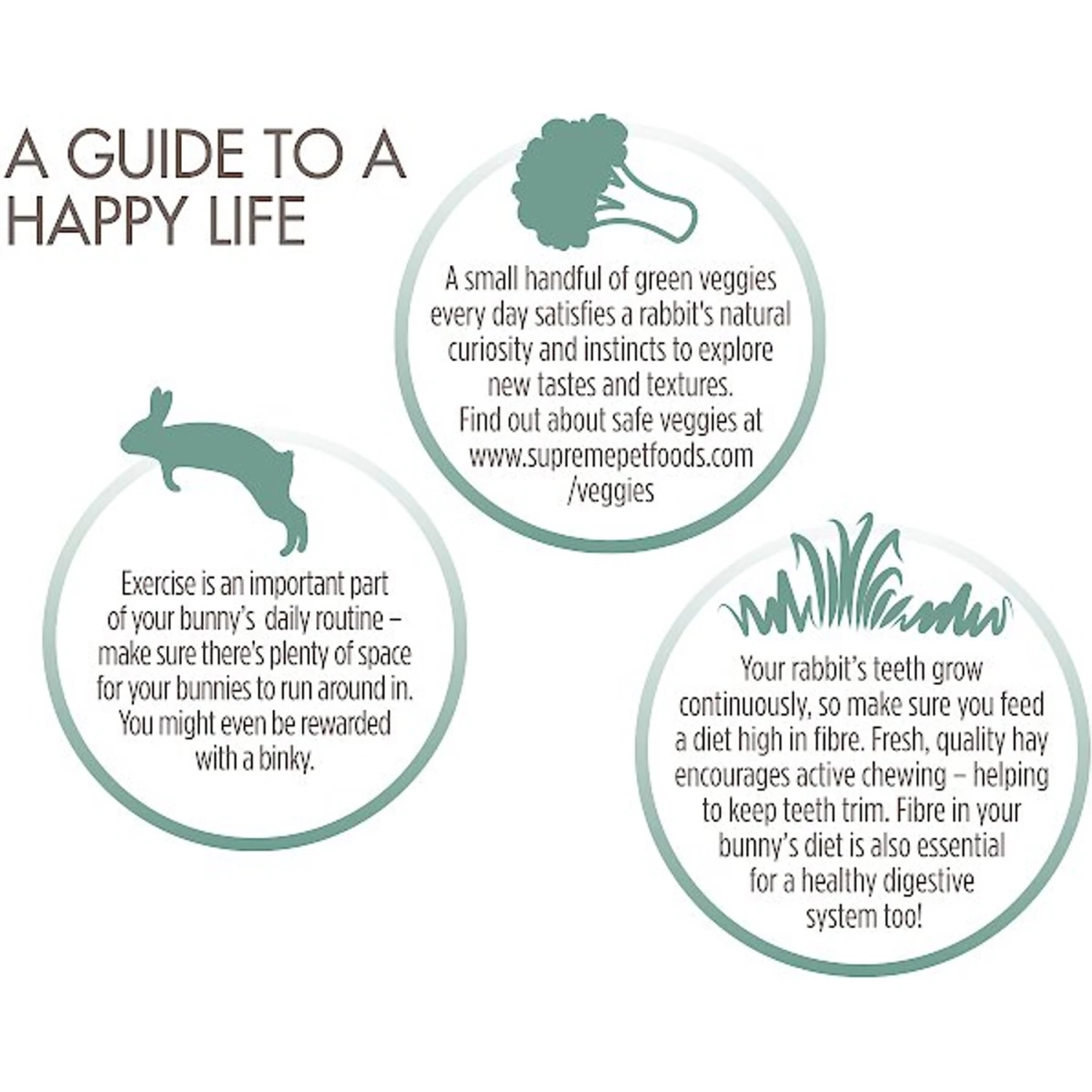 Science Selective Naturals Grain-Free Rabbit Food 5 Science Selective Naturals Grain-Free Rabbit Food - Image 5