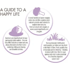 Science Selective Naturals Grain-Free Guinea Pig Food 10 Science Selective Naturals Grain-Free Guinea Pig Food -MiniMates Shop 183726 PT5. AC SS1800 V1602729714