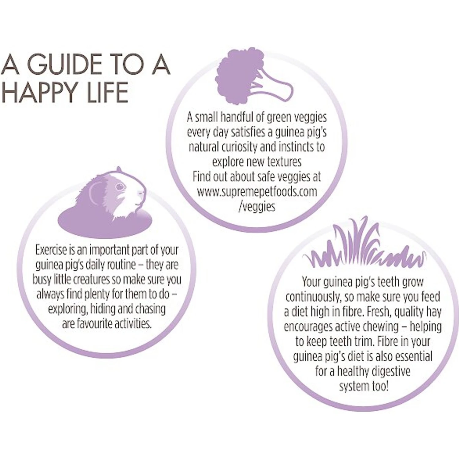 Science Selective Naturals Grain-Free Guinea Pig Food 5 Science Selective Naturals Grain-Free Guinea Pig Food - Image 5