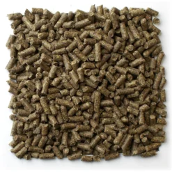 Mazuri Chinchilla Food 11 Mazuri Chinchilla Food -MiniMates Shop 191376 PT4. AC SS1800 V1619206036