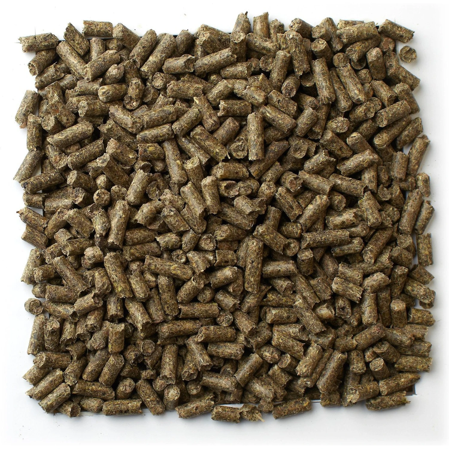 Mazuri Chinchilla Food 4 Mazuri Chinchilla Food - Image 4