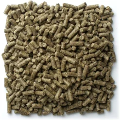 Mazuri Timothy-Based Guinea Pig Food -MiniMates Shop 191380 PT4. AC SS1800 V1619206633