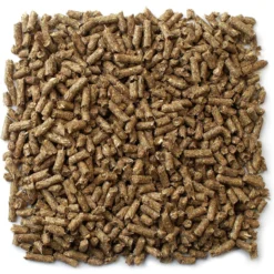 Mazuri Timothy Based Rabbit Food 11 Mazuri Timothy Based Rabbit Food -MiniMates Shop 191384 PT4. AC SS1800 V1619206958