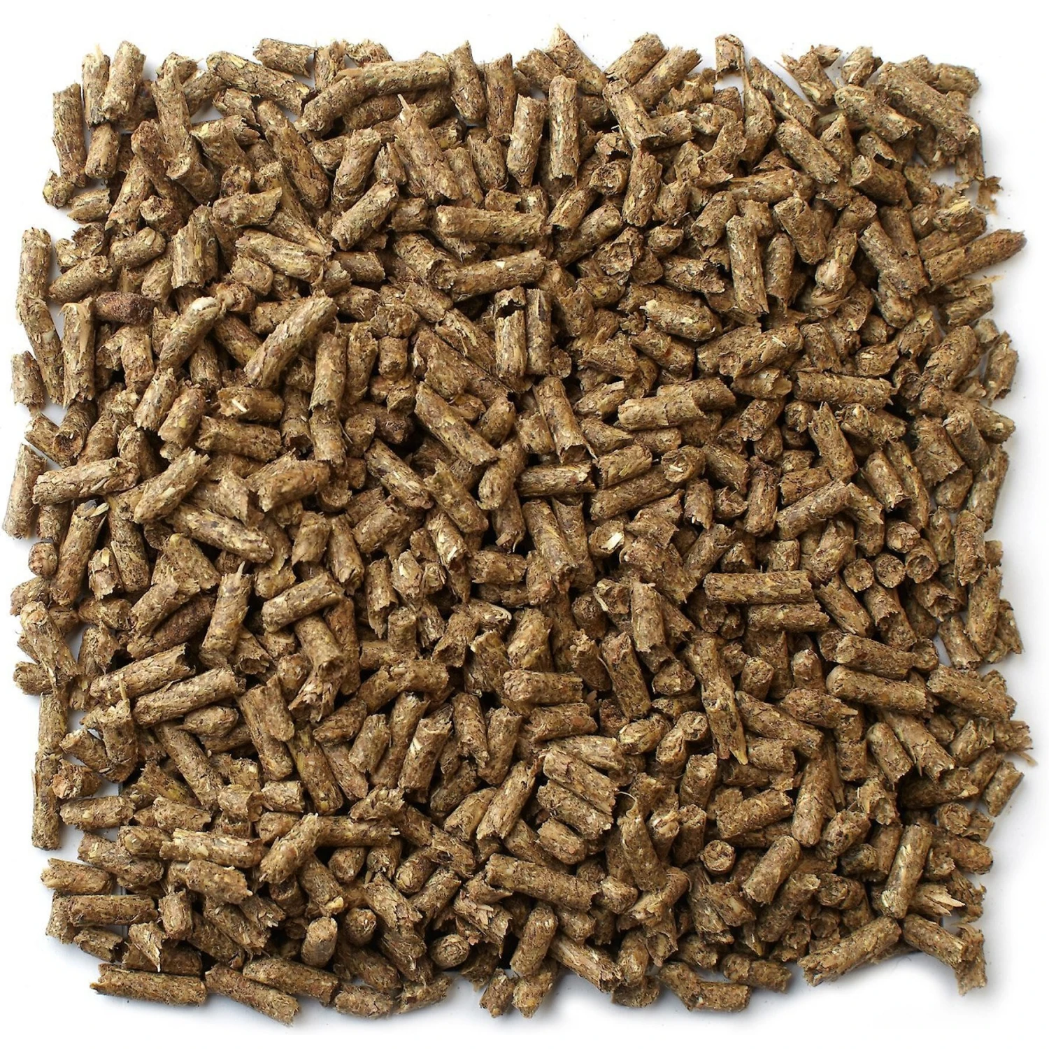 Mazuri Timothy Based Rabbit Food 4 Mazuri Timothy Based Rabbit Food - Image 4