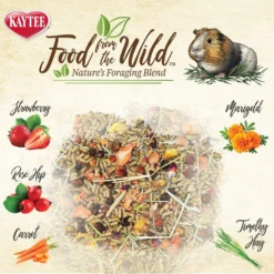 Kaytee Food From The Wild Guinea Pig Food, 4-lb Bag 10 Kaytee Food From The Wild Guinea Pig Food, 4-lb Bag -MiniMates Shop 199225 PT2. AC SS1800 V1582583311