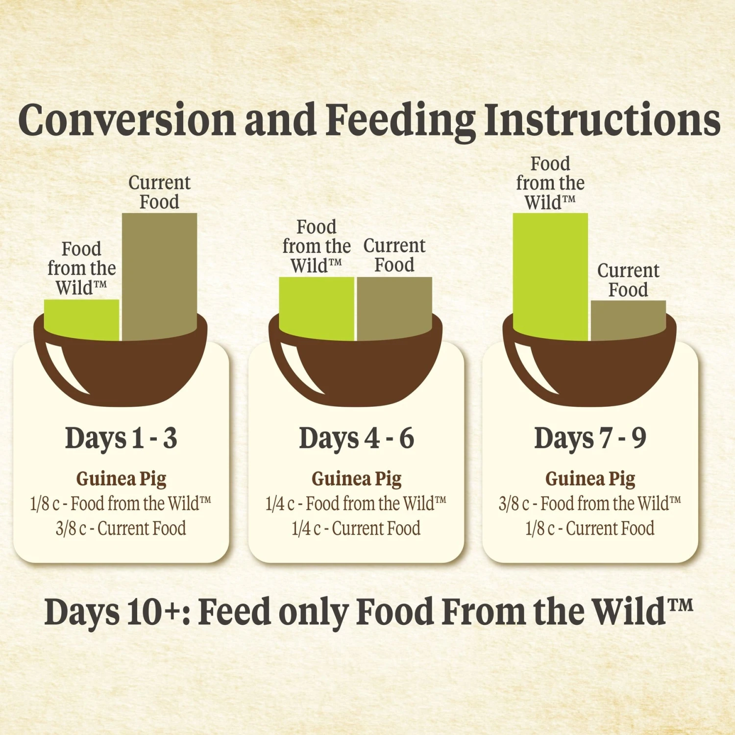 Kaytee Food From The Wild Guinea Pig Food, 4-lb Bag 6 Kaytee Food From The Wild Guinea Pig Food, 4-lb Bag - Image 6