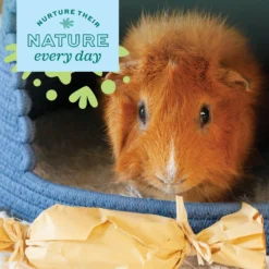 Oxbow Enriched Life Timothy Surprise Small Animal Chew Toy -MiniMates Shop 200171 PT3. AC SS1800 V1661823297