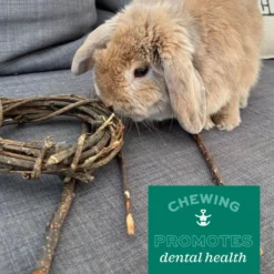 Oxbow Enriched Life Timbells Small Animal Chew Toy, 2 Count -MiniMates Shop 200191 PT7. AC SS1800 V1661823062