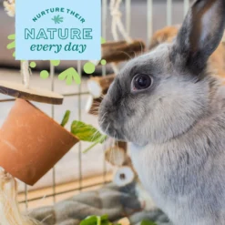 Oxbow Enriched Life Forage Pot Small Animal Chew Toy -MiniMates Shop 200206 PT3. AC SS1800 V1661823139